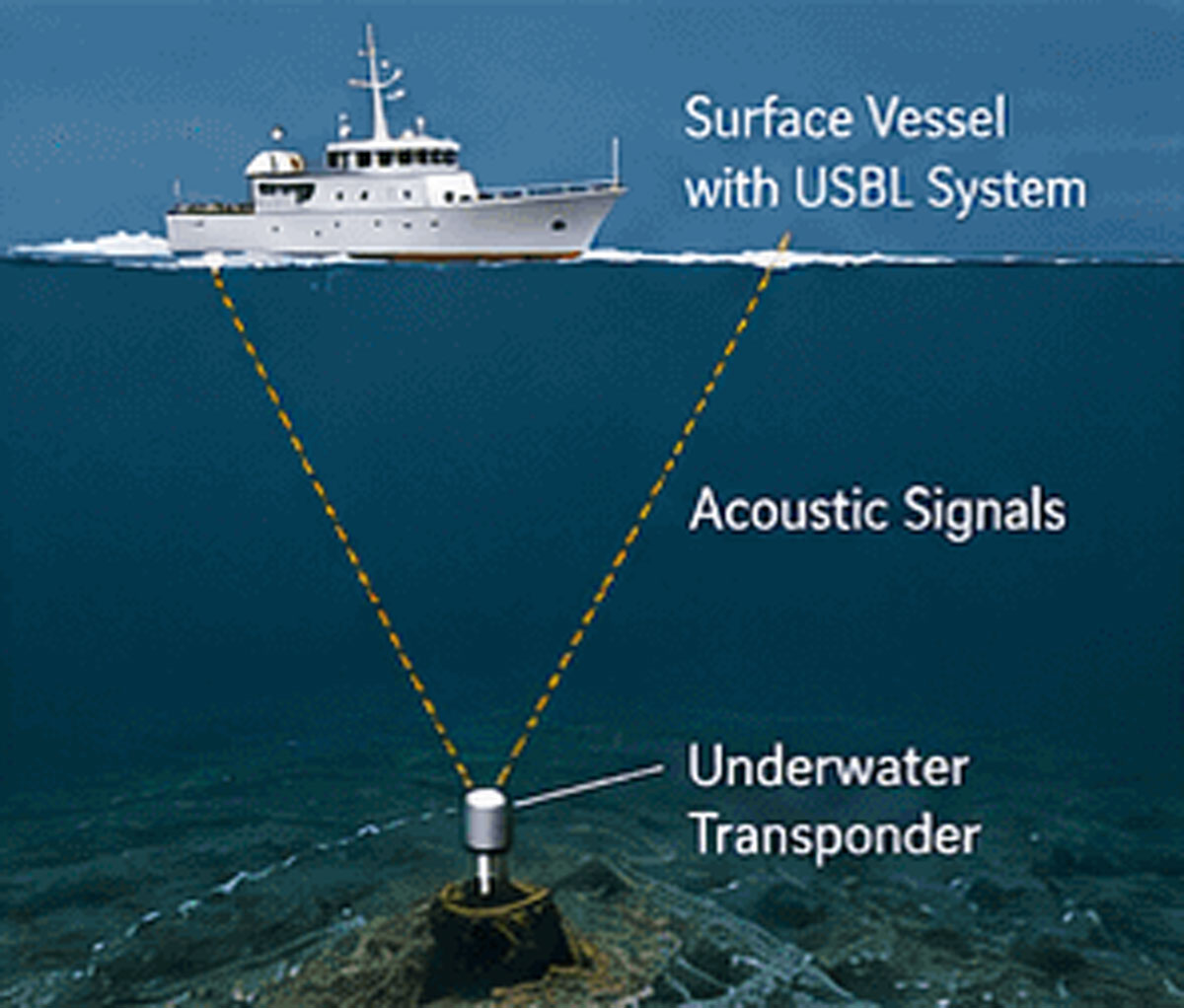 Marine science